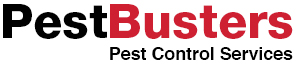 Pest Busters - Pest Control Services