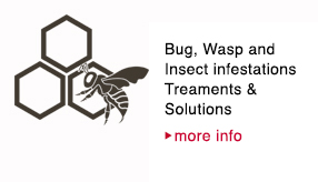 Bee, Wasp & Insect Infestations & Solutions - more info Bee, Wasp & Insect Infestations & Solutions - more info