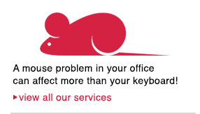 A mouse problem in your office can affect more than your keyboard A mouse problem in your office can affect more than your keyboard