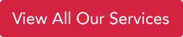 Pest Busters- View our services